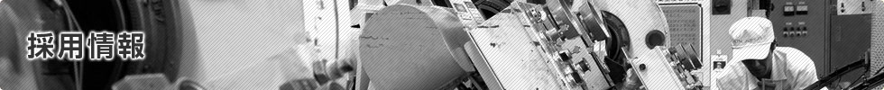 採用情報
